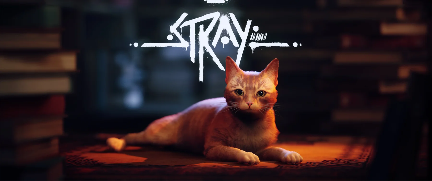 بررسی بازی Stray | در جستجوی رهایی